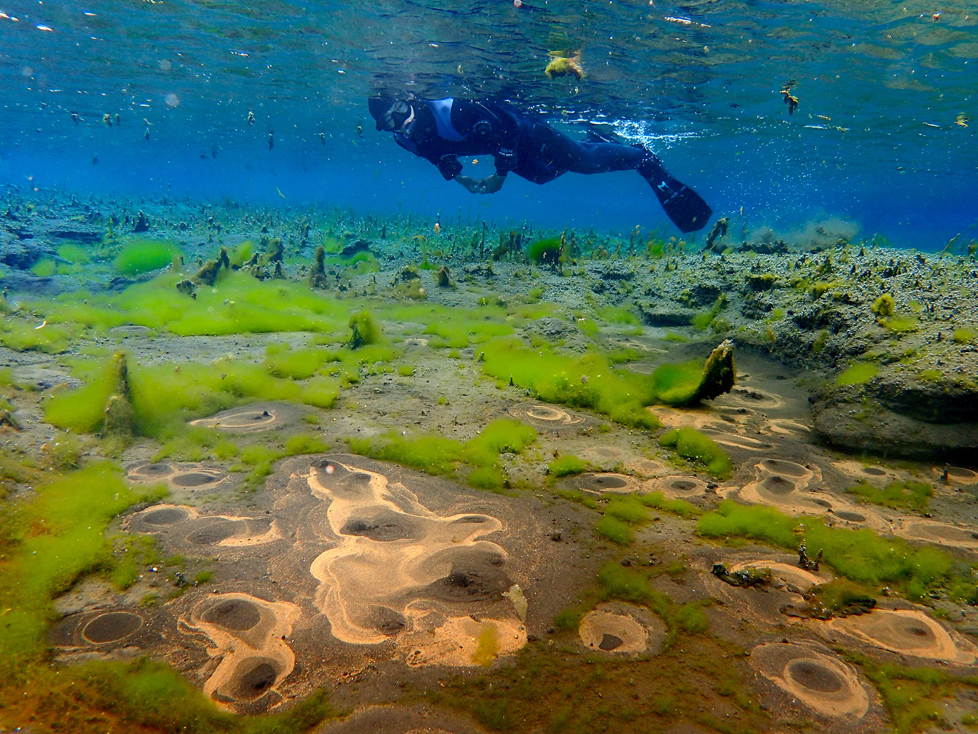 river-snorkeling-bubbling-sands-on-diamond-circle-north-iceland-with-dive.is.jpg