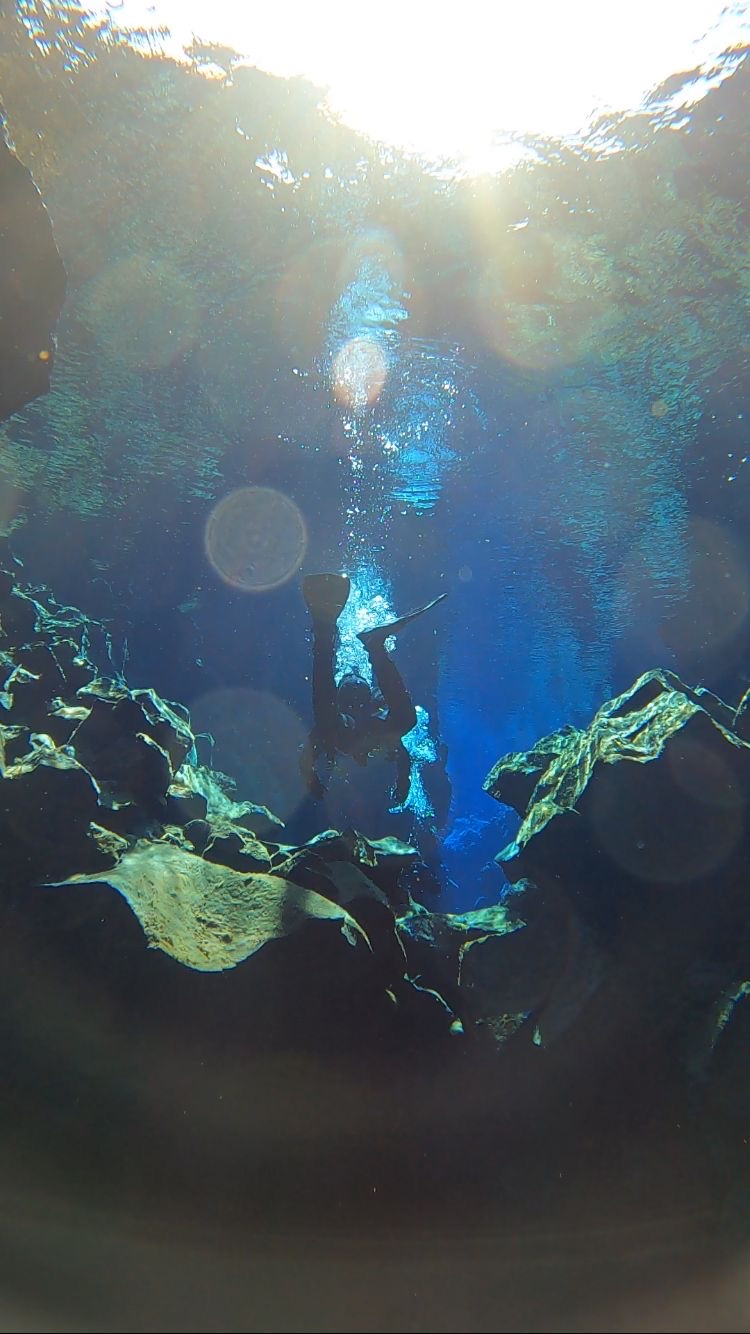 image-1.jpg