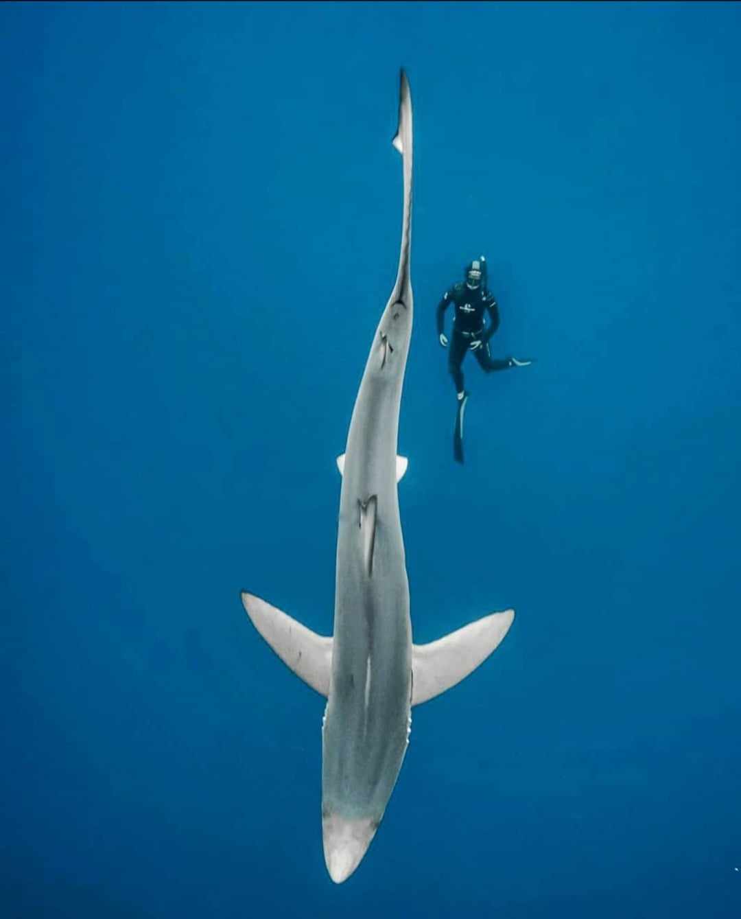 jana-diving-guide-iceland.jpg