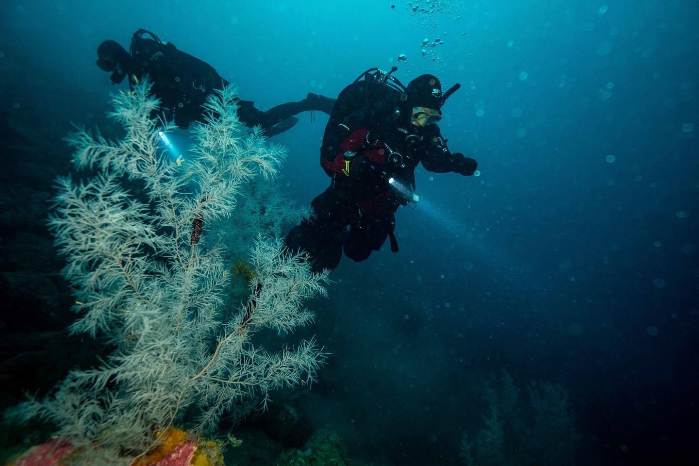 maya-diving-guide-at-dive.is-iceland.jpg