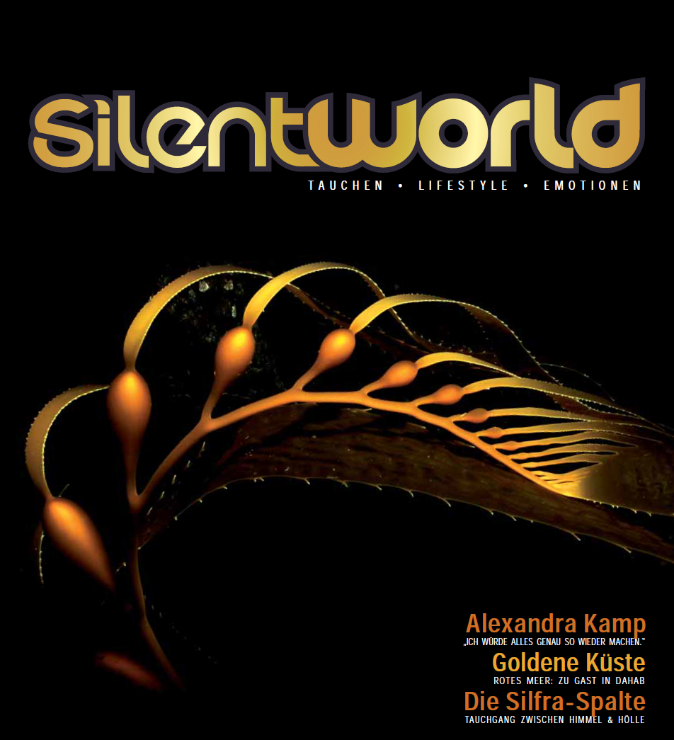 Silent World