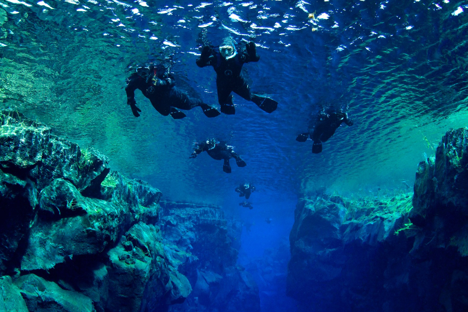 A group of divers exploring the crystal-clear Silfra fissure in Thingvellir National Park, Iceland with Dive.is