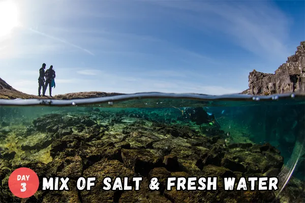 Bjarnagjá fissure is a mix of fresh and salt water.