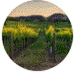 vidar-review.gif
