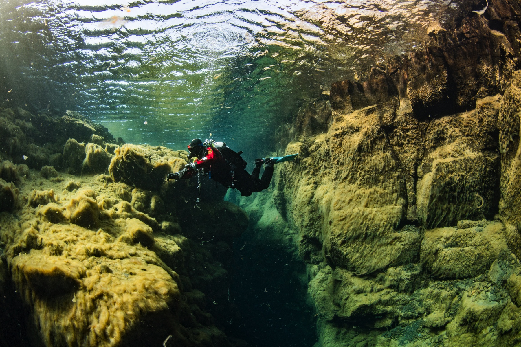 diver-in-algae-covered-bjarnagja-by-anders-nyberg