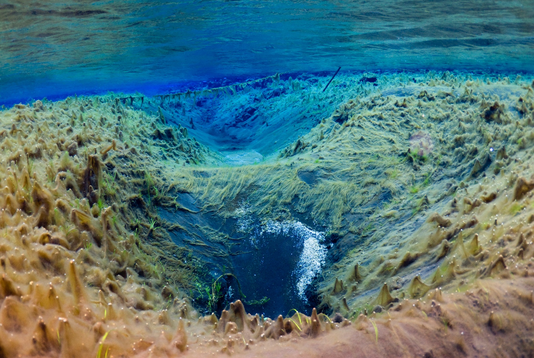 litlaa-crater-field-algae-covered