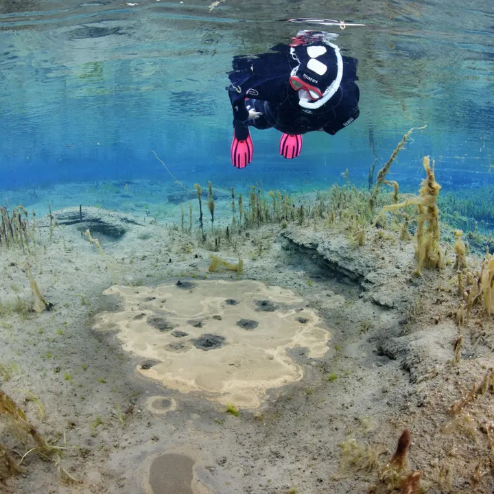 snorkeler-bubble-puddle-litlaa-wolfgang-poelzer