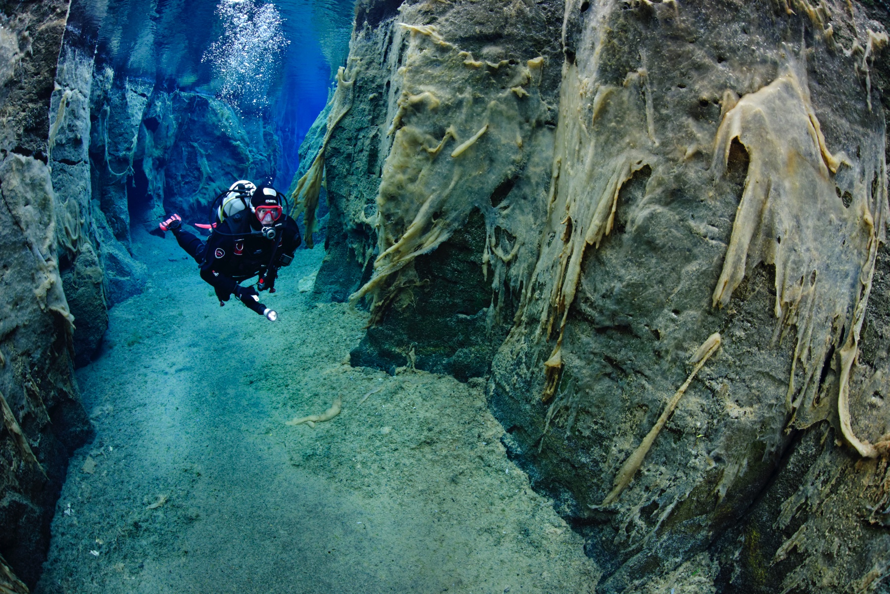 diver-nesgja-algae-carpet