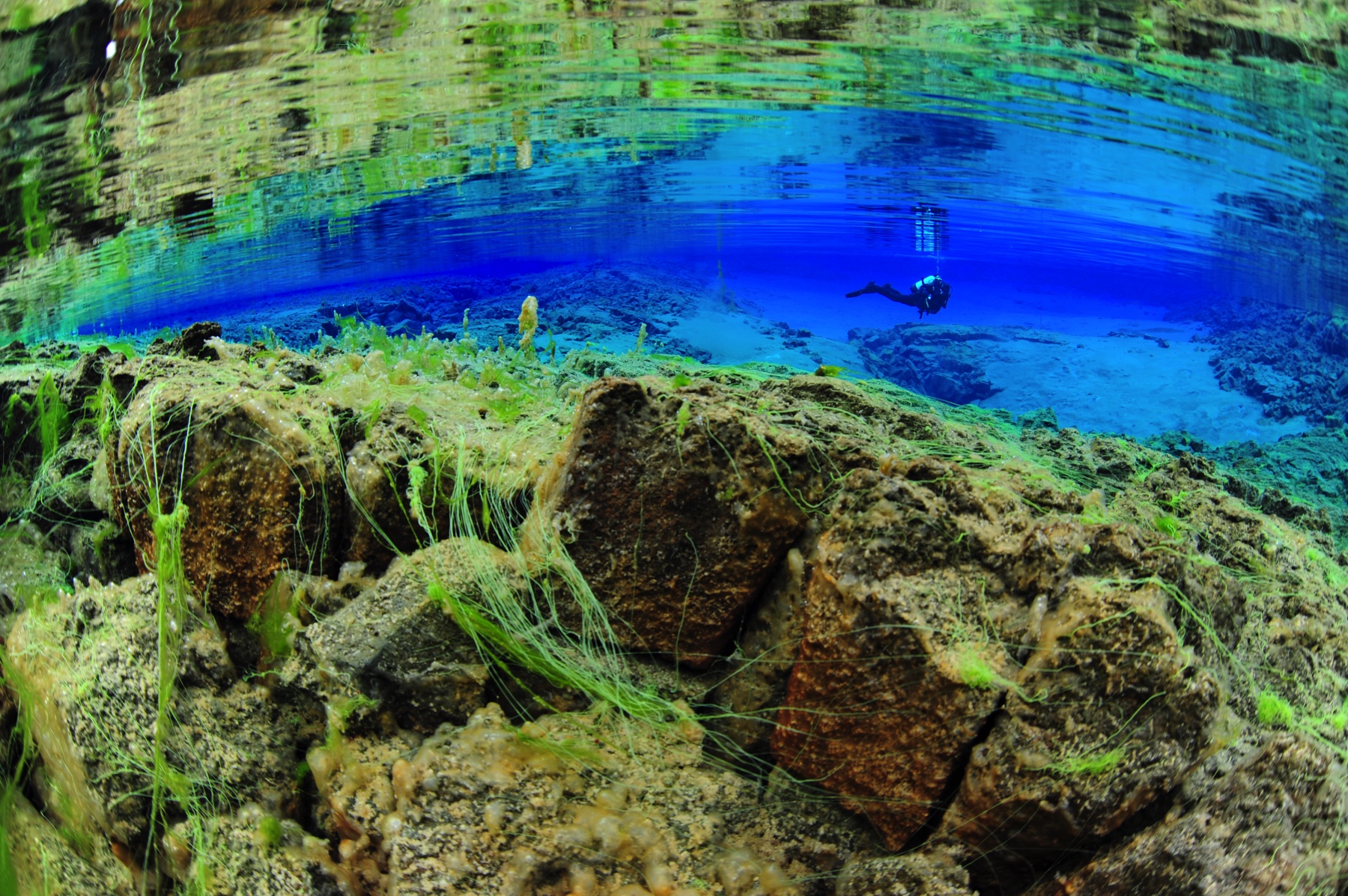 wideangle-lagoon-diver-reflection