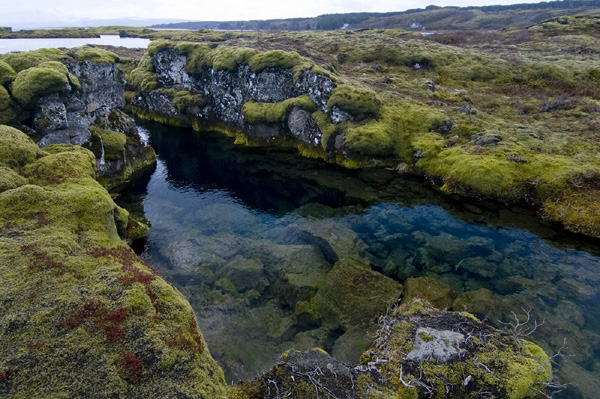 green-moss-rock-formation-thingvellir-iceland-magnus-lundgren