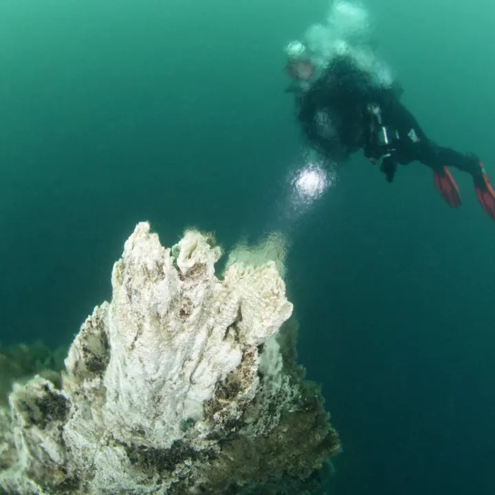 diver-hydrothermal-vent-strytan-iceland