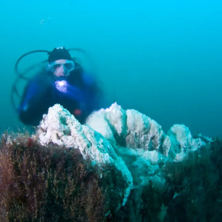 Diver at the top of big Strýtan behind the halo- & thermocline