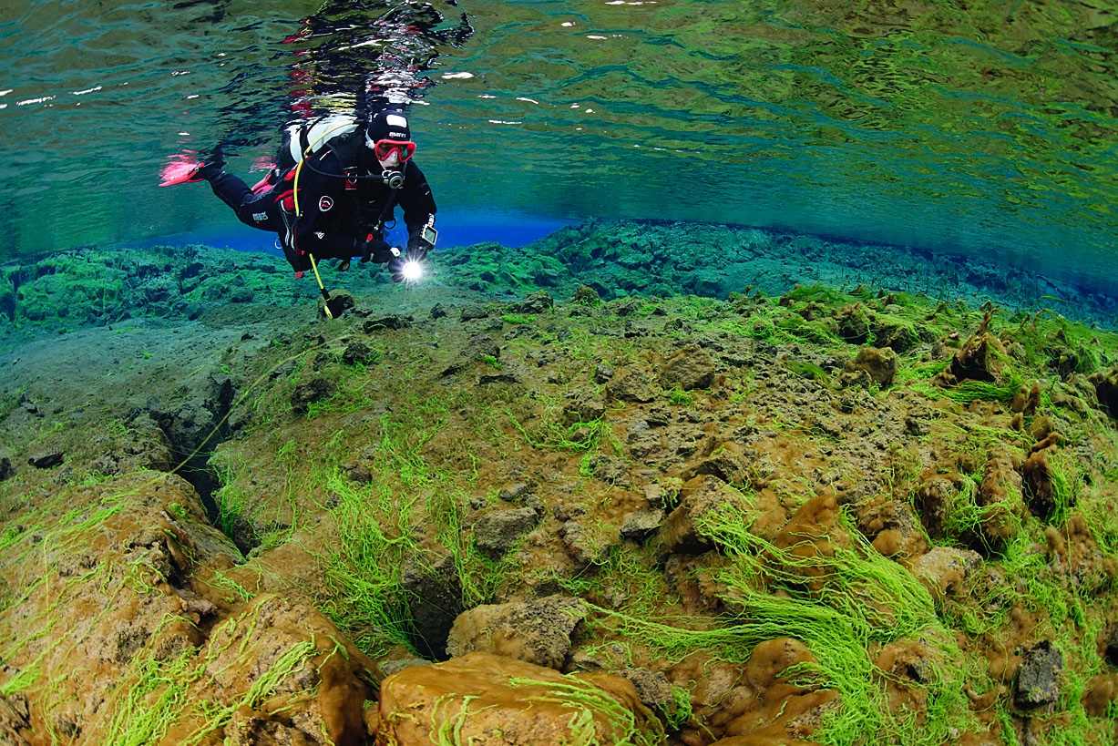 Scuba diving over the beautiful neon green algea in Silfra