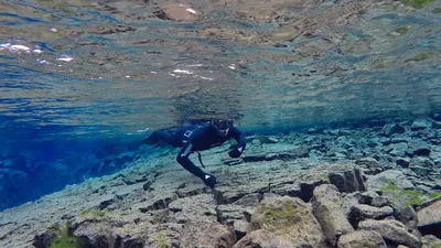 freediver-silfra-iceland