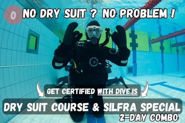 dive.is-private-davidsgja-fissure-dive-tour-silfra-darker-sibling-dry-suit-certification-3.jpg