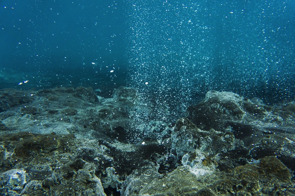Geothermal snorkeling tour in Iceland