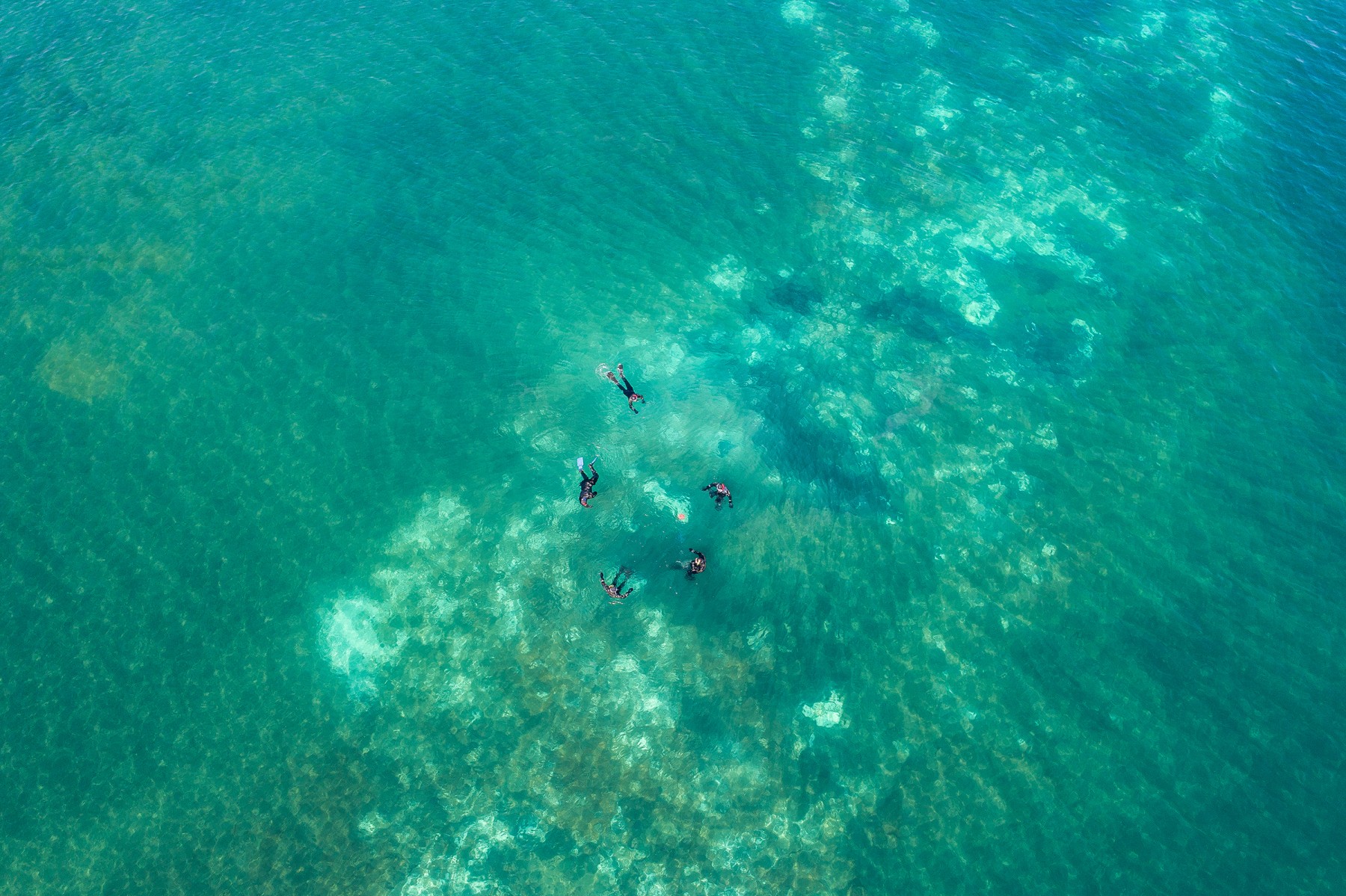 Drone shot of a snorkeling group in Kleifarvatn, Iceland