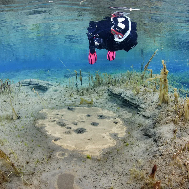 Snorkeling diamond circle dive.is iceland