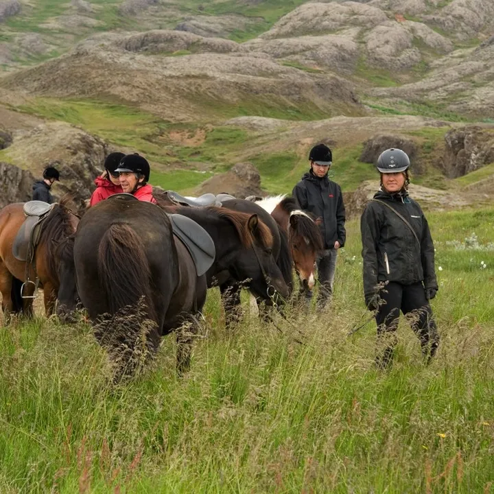 Horseback riders and Icelandic horses taking break in green grass landscape close to river canyon Iceland