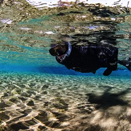 Snorkeler close up from underneath the sparkeling water surface of Silfra Lagoon with sunlight reflecting on sediment
