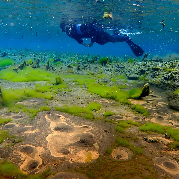river snorkeling bubbling sands on diamond circle north iceland with dive.is