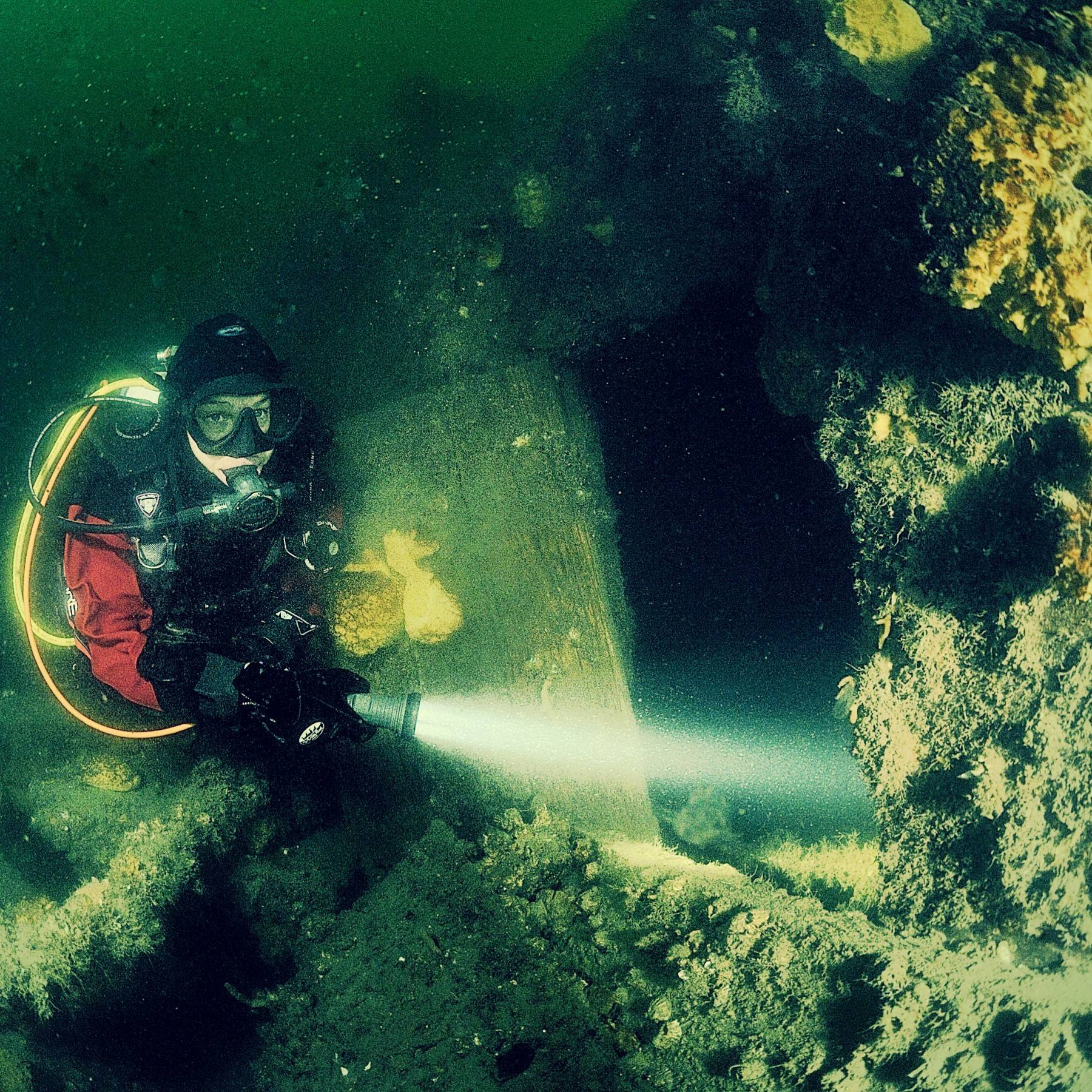 Diver at El Grillo wreck near Seyðisfjörður, Iceland A diver shines her torch into the El Grillo shipwreck at Seyðisfjörður, Iceland