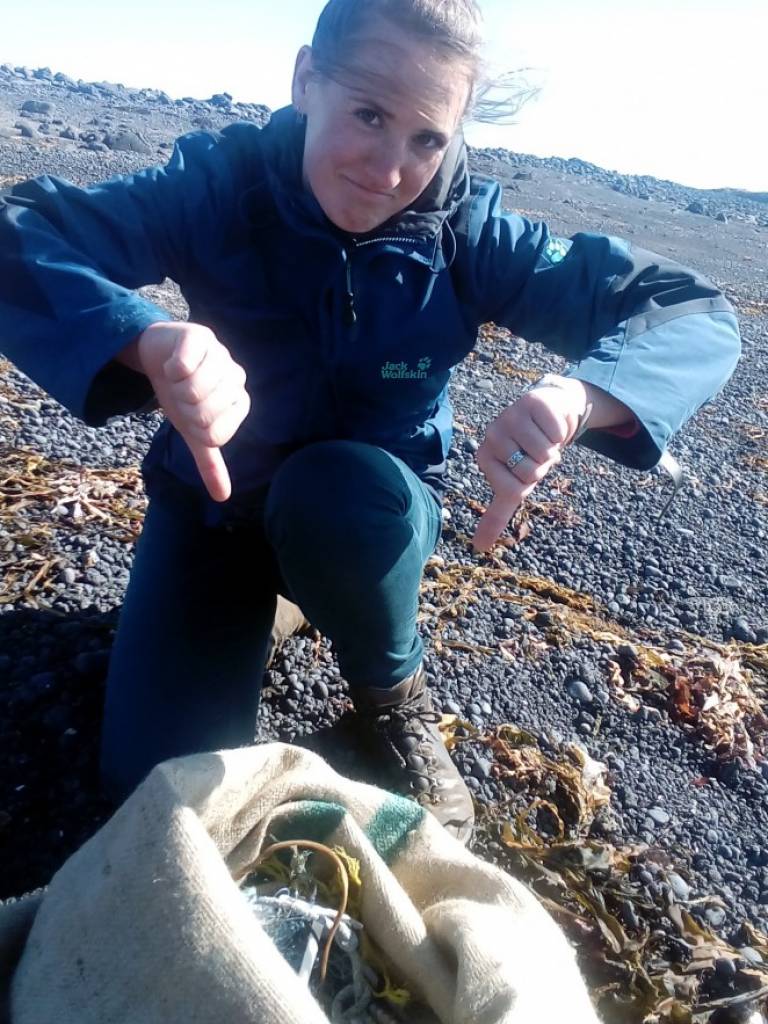 Beach clean up day in Snæfellsnes Iceland Our staff member during the