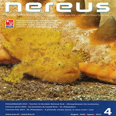 nereus-between-the-continents-issue-4-august-2013-logo