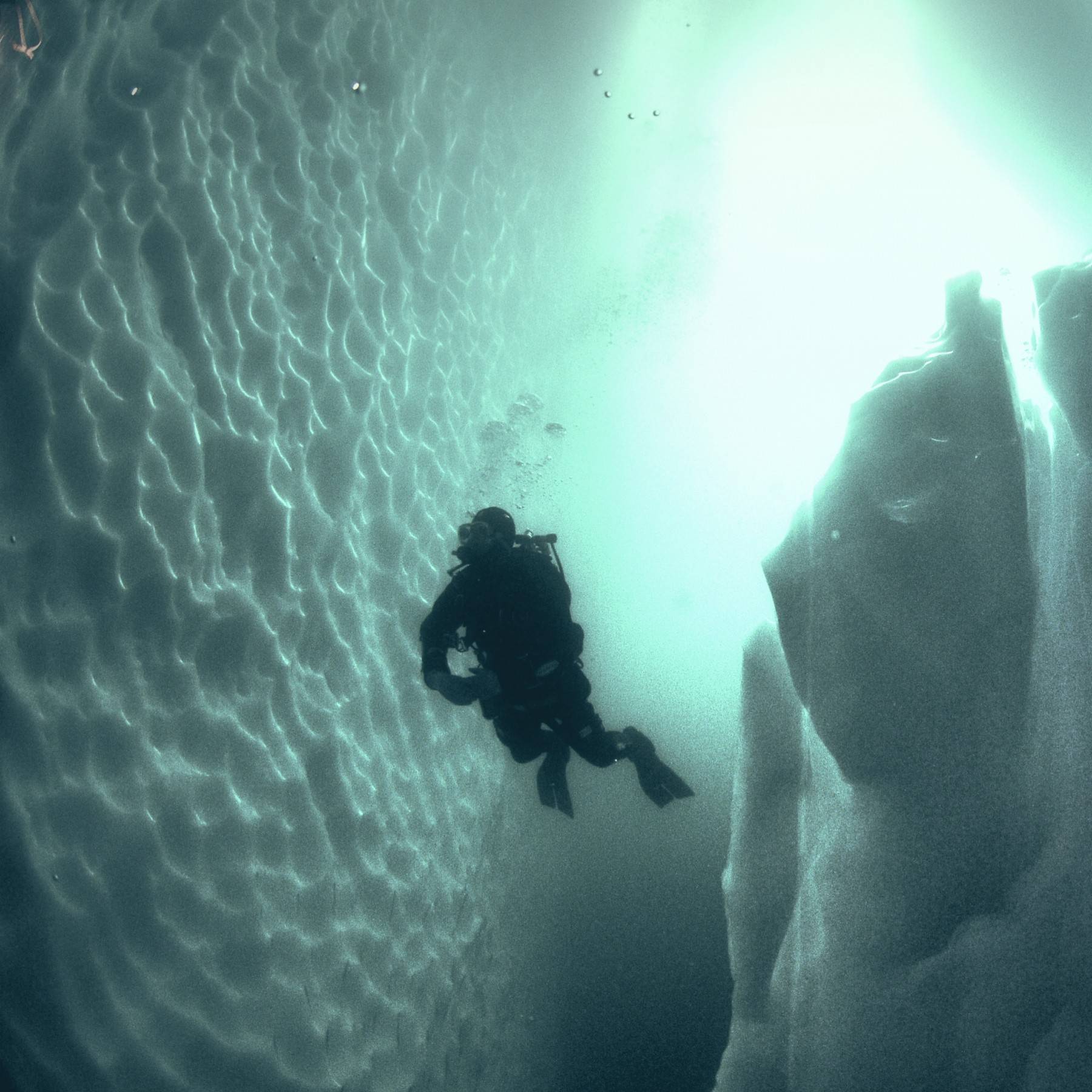 Diver between icebergs in Greenland