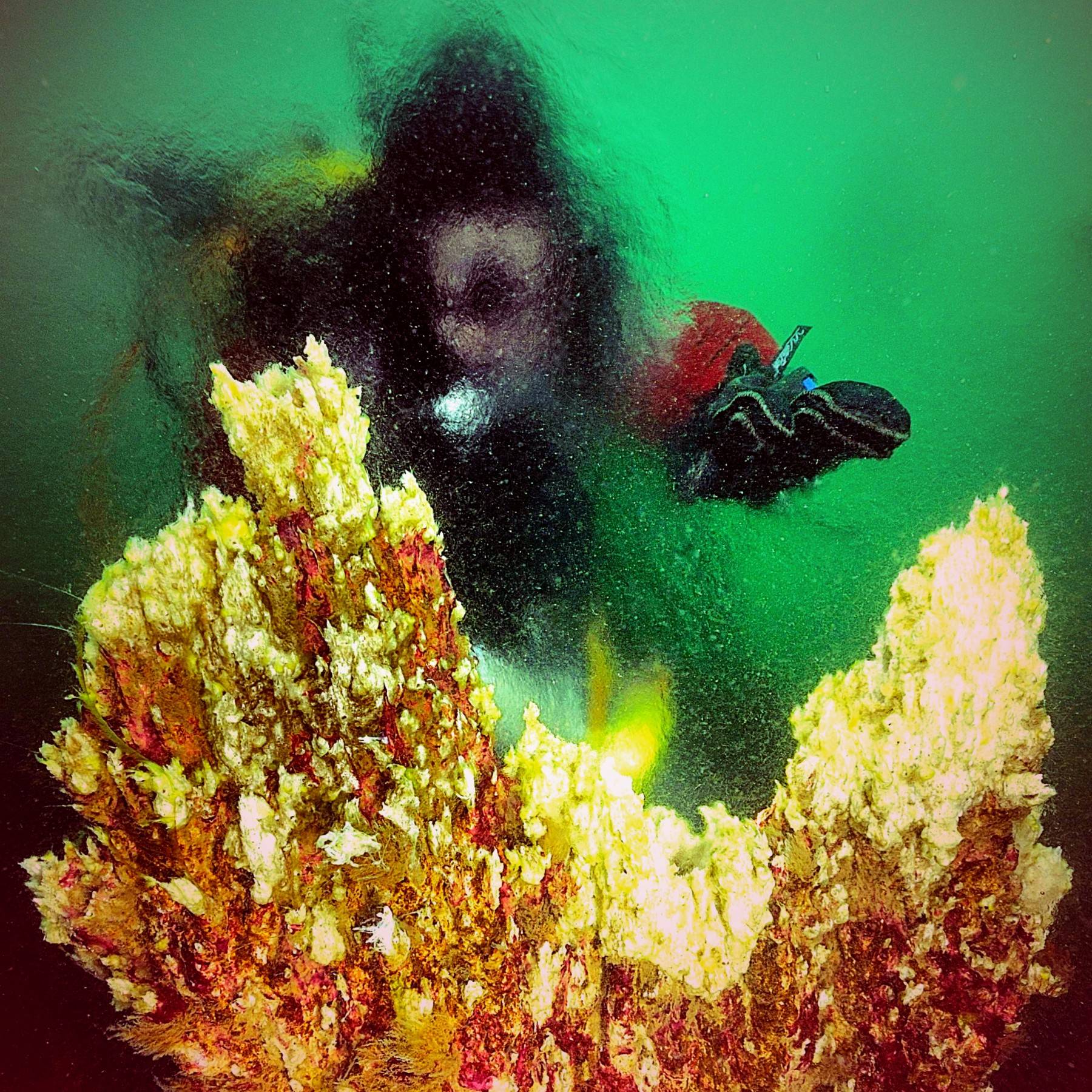 diver-at-strytan-hydrothermal-chimney