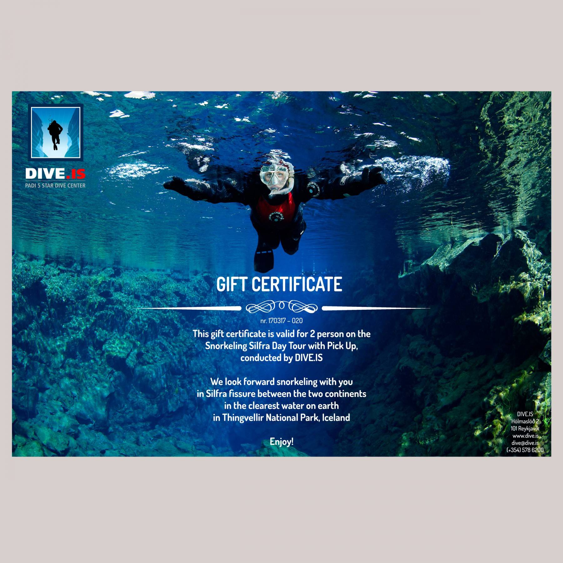 DIVE.IS Gift Certificate DIVE.IS Gift Certificate