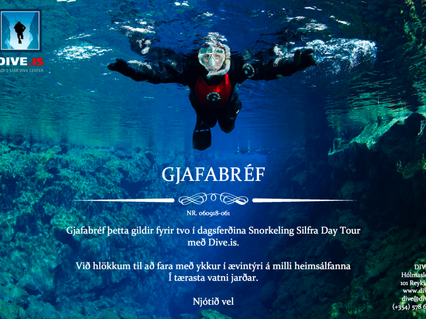 DIVE.IS Gift Certificate DIVE.IS Gift Certificate