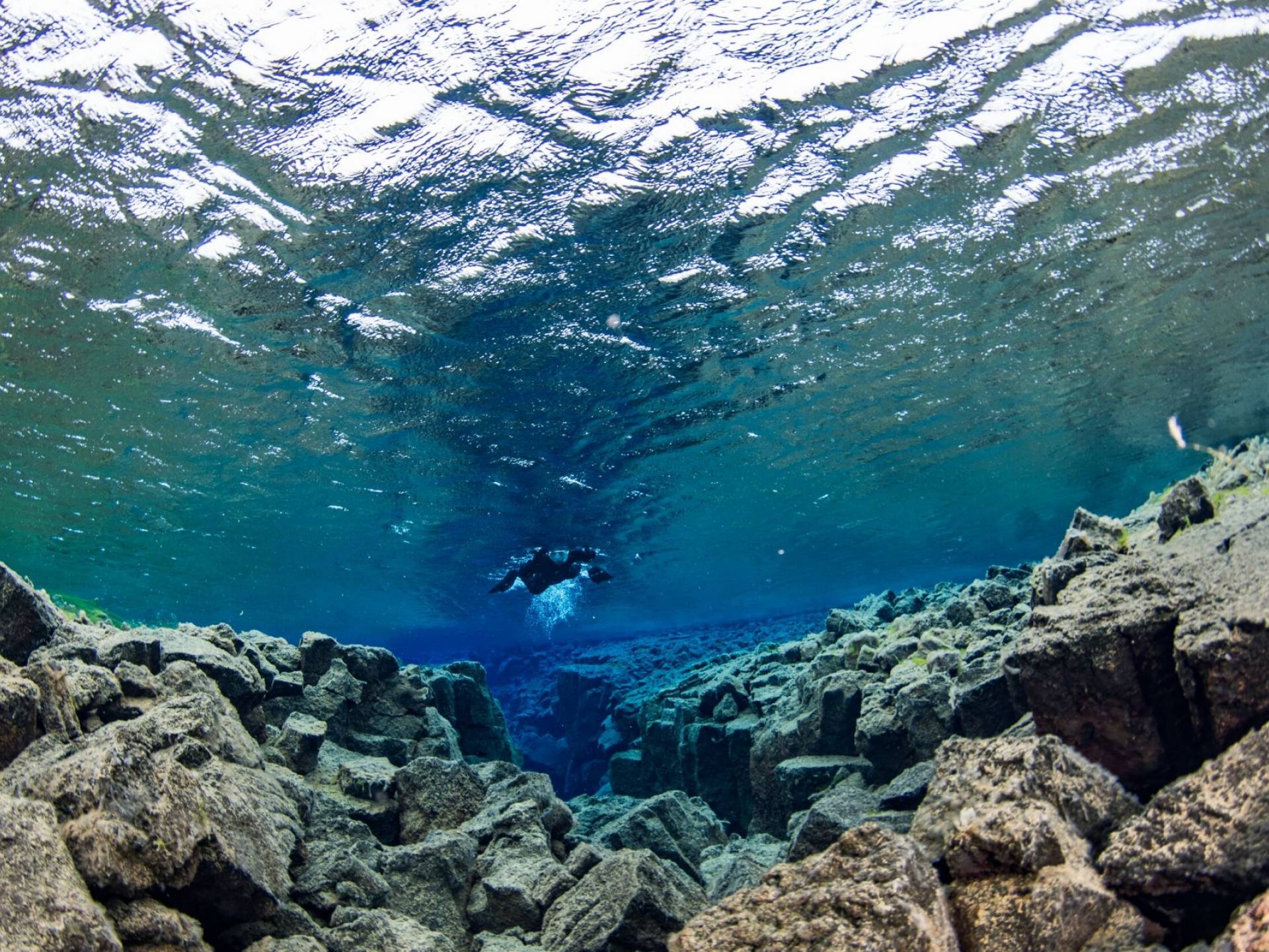 a single snorkler floating in the clear water in Silfra fissure in Þingvellir