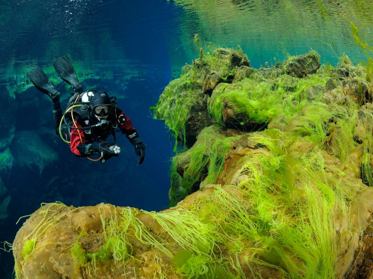 why-do-you-need-to-go-diving-in-silfra-blog.jpg