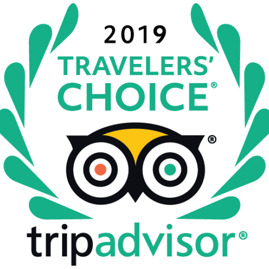 dive.is-travelers-choice-tripadvisor-2019 dive.is-travelers-choice-tripadvisor-2019.png