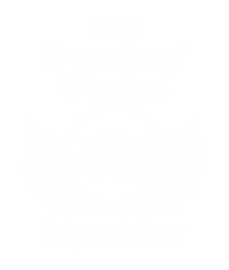 tripadvisor-travelers-choice-award-2022.png
