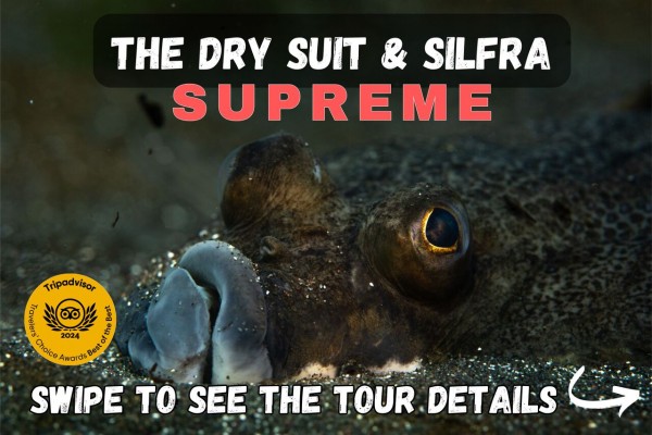 Swipe to view the tour details for the Dry Suit & Silfra Supreme.