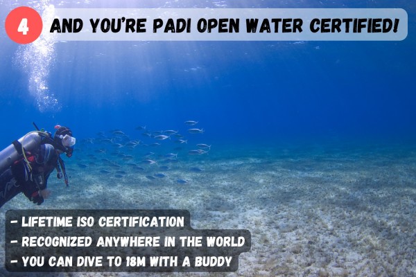 dive.is-padi-open-water-course-certified-4-600x400.jpg