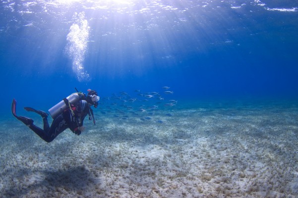 dive.is-utlandapakkinn-padi-referral-2023-5-601x400.jpg