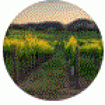 vidar-review-150x150 vidar-review-150x150.gif