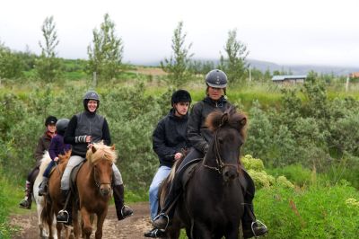 horseback-riding-tour-iceland-laxness-400x266-q80 horseback-riding-tour-iceland-laxness-400x266-q80.jpg