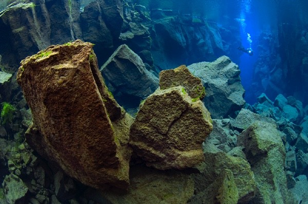 Diver in the crystal clear glacial water in Silfra, Thingvellir, Iceland