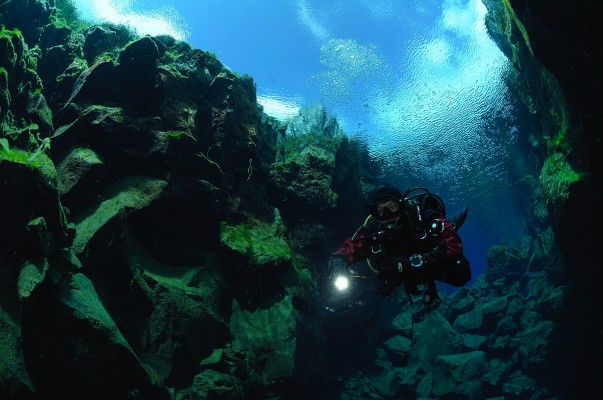 Dry suit diver diving past green algae on the rocks in Silfra Iceland