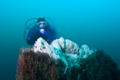 diver-top-of-big-strytan-dive-light-iceland-400x268-q80 diver-top-of-big-strytan-dive-light-iceland-400x268-q80.jpg
