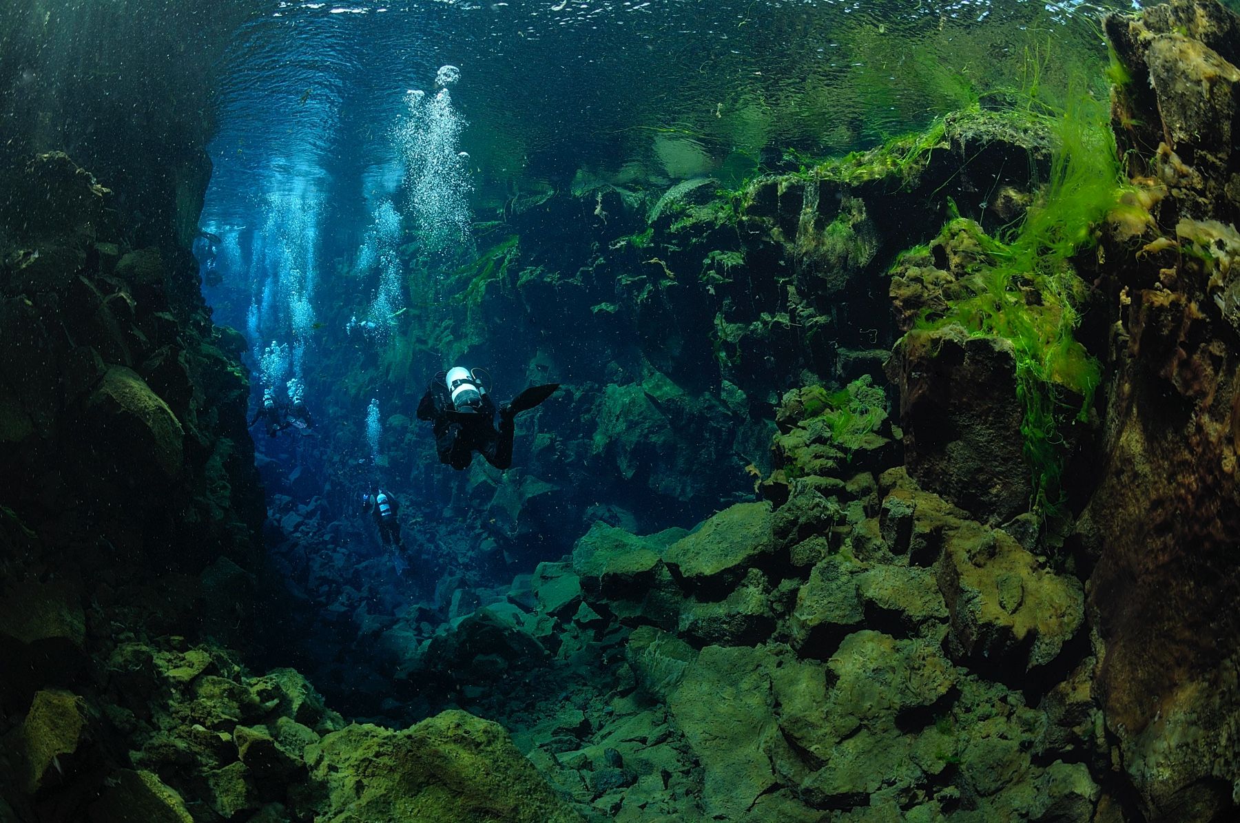 PADI Dry Suit Course & Silfra Diving Tour in 2 Days DIVE.IS Iceland