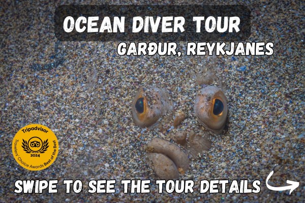 dive.is-ocean-diver-tour-gardur-tour-details-1-1-600x400.jpg