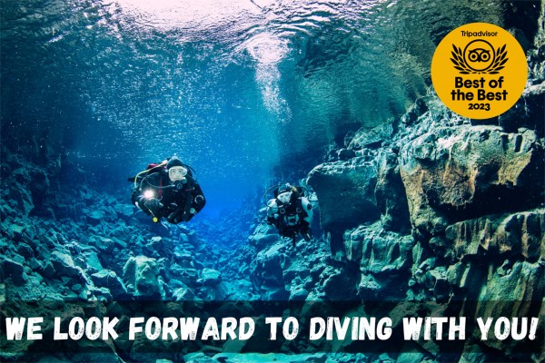 We look forward to diving with you!