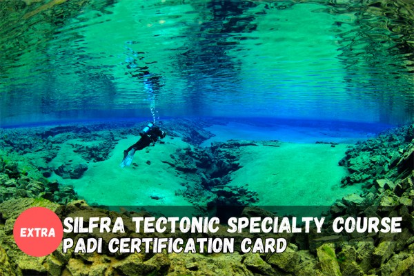 Add the Tectonic Plate Awareness Distinctive Speciality course to your Silfra dive and receive a PADI certification.