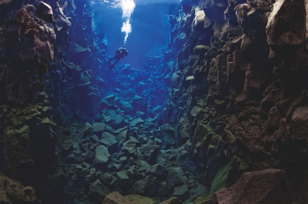 Diver in the Silfra Cathedral located in Thingvellir, Iceland