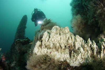 diver-observes-amazing-hydrothermal-chimneys-wolfgang-polzer-400x267-q80 diver-observes-amazing-hydrothermal-chimneys-wolfgang-polzer-400x267-q80.jpg
